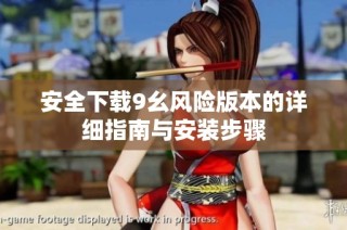 安全下载9幺风险版本的详细指南与安装步骤