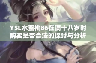 YSL水蜜桃86在满十八岁时购买是否合法的探讨与分析