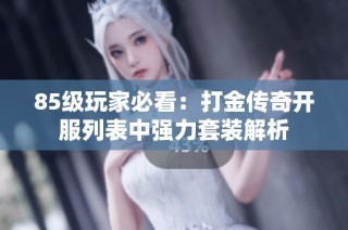 85级玩家必看：打金传奇开服列表中强力套装解析