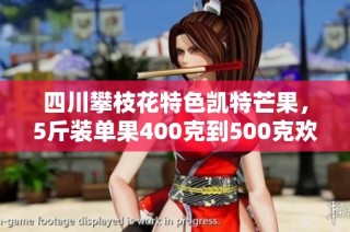 四川攀枝花特色凯特芒果，5斤装单果400克到500克欢迎购买