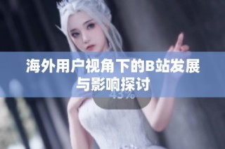 海外用户视角下的B站发展与影响探讨
