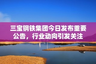 三宝钢铁集团今日发布重要公告，行业动向引发关注