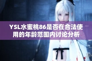 YSL水蜜桃86是否在合法使用的年龄范围内讨论分析