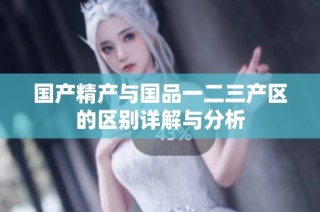 国产精产与国品一二三产区的区别详解与分析