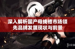 深入解析国产母线槽市场领先品牌发展现状与前景