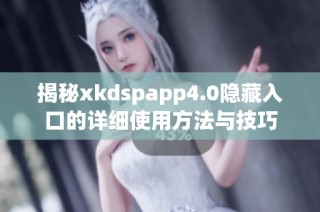 揭秘xkdspapp4.0隐藏入口的详细使用方法与技巧