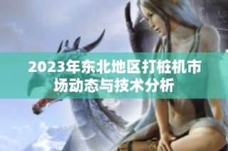 2023年东北地区打桩机市场动态与技术分析