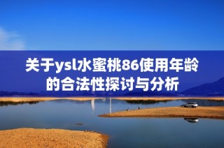 关于ysl水蜜桃86使用年龄的合法性探讨与分析