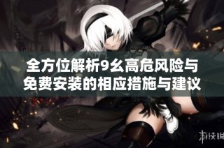 全方位解析9幺高危风险与免费安装的相应措施与建议