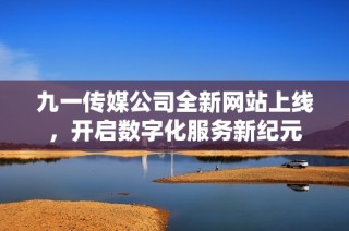 九一传媒公司全新网站上线，开启数字化服务新纪元