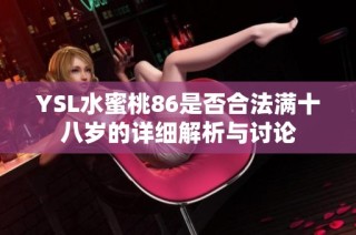 YSL水蜜桃86是否合法满十八岁的详细解析与讨论