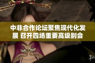 中非合作论坛聚焦现代化发展 召开四场重要高级别会议