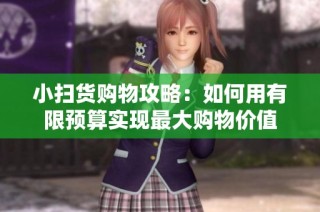 小扫货购物攻略：如何用有限预算实现最大购物价值