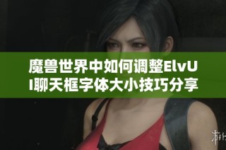 魔兽世界中如何调整ElvUI聊天框字体大小技巧分享