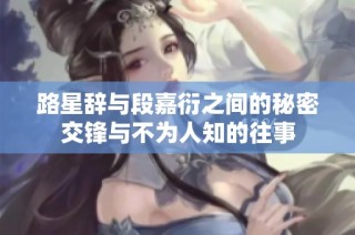 路星辞与段嘉衍之间的秘密交锋与不为人知的往事