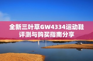 全新三叶草GW4334运动鞋评测与购买指南分享
