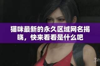 猫咪最新的永久区域网名揭晓，快来看看是什么吧