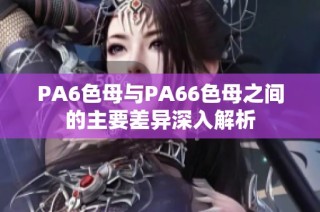 PA6色母与PA66色母之间的主要差异深入解析