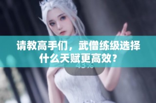 请教高手们，武僧练级选择什么天赋更高效？