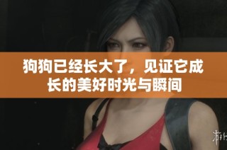 狗狗已经长大了，见证它成长的美好时光与瞬间
