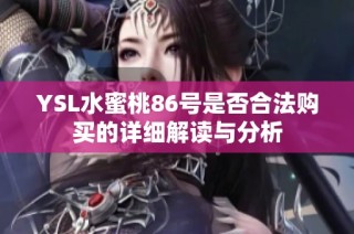 YSL水蜜桃86号是否合法购买的详细解读与分析