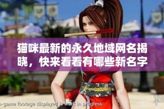 猫咪最新的永久地域网名揭晓，快来看看有哪些新名字吧