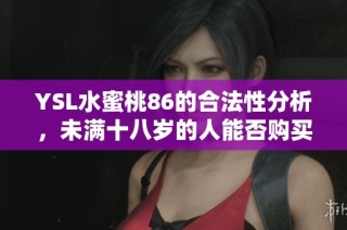 YSL水蜜桃86的合法性分析，未满十八岁的人能否购买