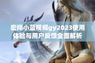 宏翔小蓝视频gy2023使用体验与用户反馈全面解析