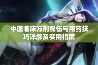 中医临床方剂配伍与用药技巧详解及实用指南