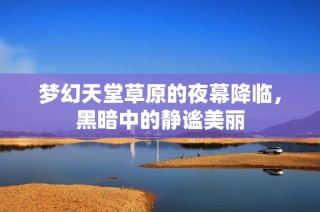 梦幻天堂草原的夜幕降临，黑暗中的静谧美丽
