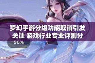 梦幻手游分组功能取消引发关注 游戏行业专业评测分析