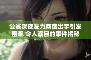 公翁深夜发力两度出手引发围观 令人瞩目的事件揭秘