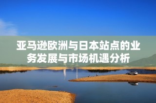 亚马逊欧洲与日本站点的业务发展与市场机遇分析
