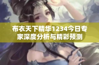 布衣天下精华1234今日专家深度分析与精彩预测