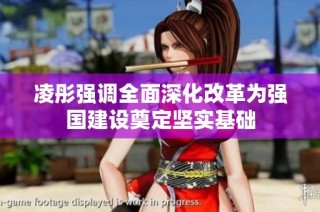 凌彤强调全面深化改革为强国建设奠定坚实基础