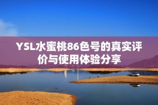 YSL水蜜桃86色号的真实评价与使用体验分享