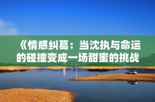 《情感纠葛：当沈执与命运的碰撞变成一场甜蜜的挑战》