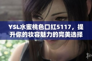 YSL水蜜桃色口红5117，提升你的妆容魅力的完美选择