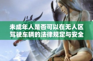 未成年人是否可以在无人区驾驶车辆的法律规定与安全分析