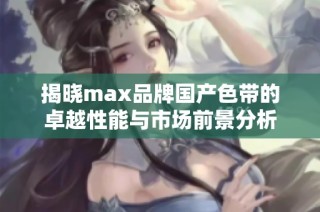 揭晓max品牌国产色带的卓越性能与市场前景分析
