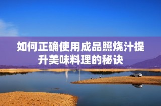 如何正确使用成品照烧汁提升美味料理的秘诀
