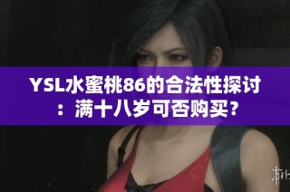 YSL水蜜桃86的合法性探讨：满十八岁可否购买？