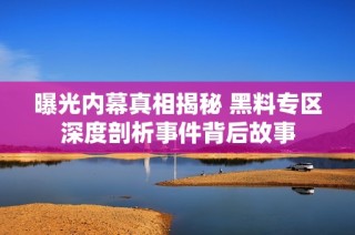 曝光内幕真相揭秘 黑料专区深度剖析事件背后故事