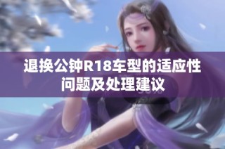 退换公钟R18车型的适应性问题及处理建议