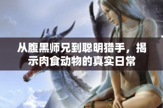 从腹黑师兄到聪明猎手，揭示肉食动物的真实日常