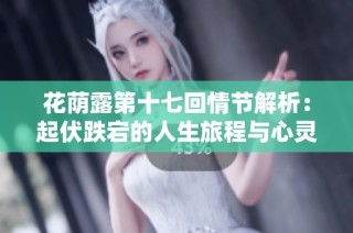 花荫露第十七回情节解析：起伏跌宕的人生旅程与心灵对话