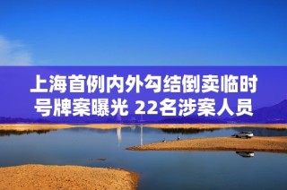 上海首例内外勾结倒卖临时号牌案曝光 22名涉案人员被抓获