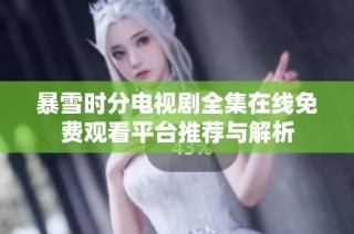 暴雪时分电视剧全集在线免费观看平台推荐与解析
