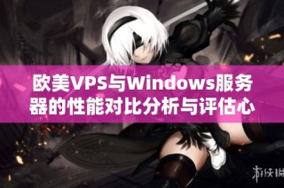欧美VPS与Windows服务器的性能对比分析与评估心得