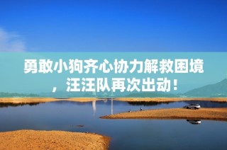 勇敢小狗齐心协力解救困境，汪汪队再次出动！